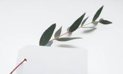 Featured image of post 别删1️⃣